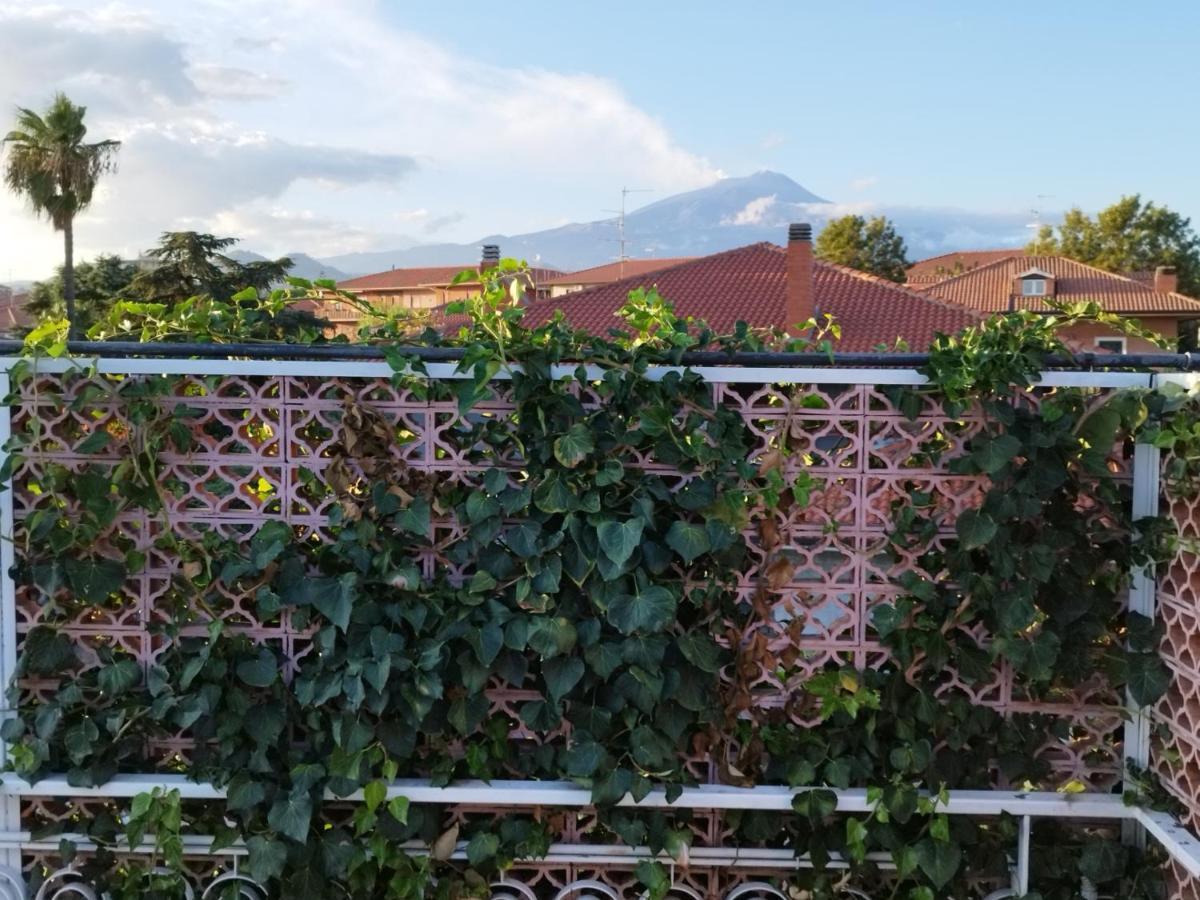Greenhouse Mascalucia Eksteriør bilde